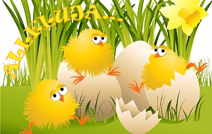 Oficjalna strona sklepu zielarsko-medycznego "FITO"